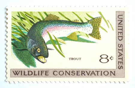 100 Rainbow Trout Vintage Postage Stamps Unused Fishing Stamps for Mailing